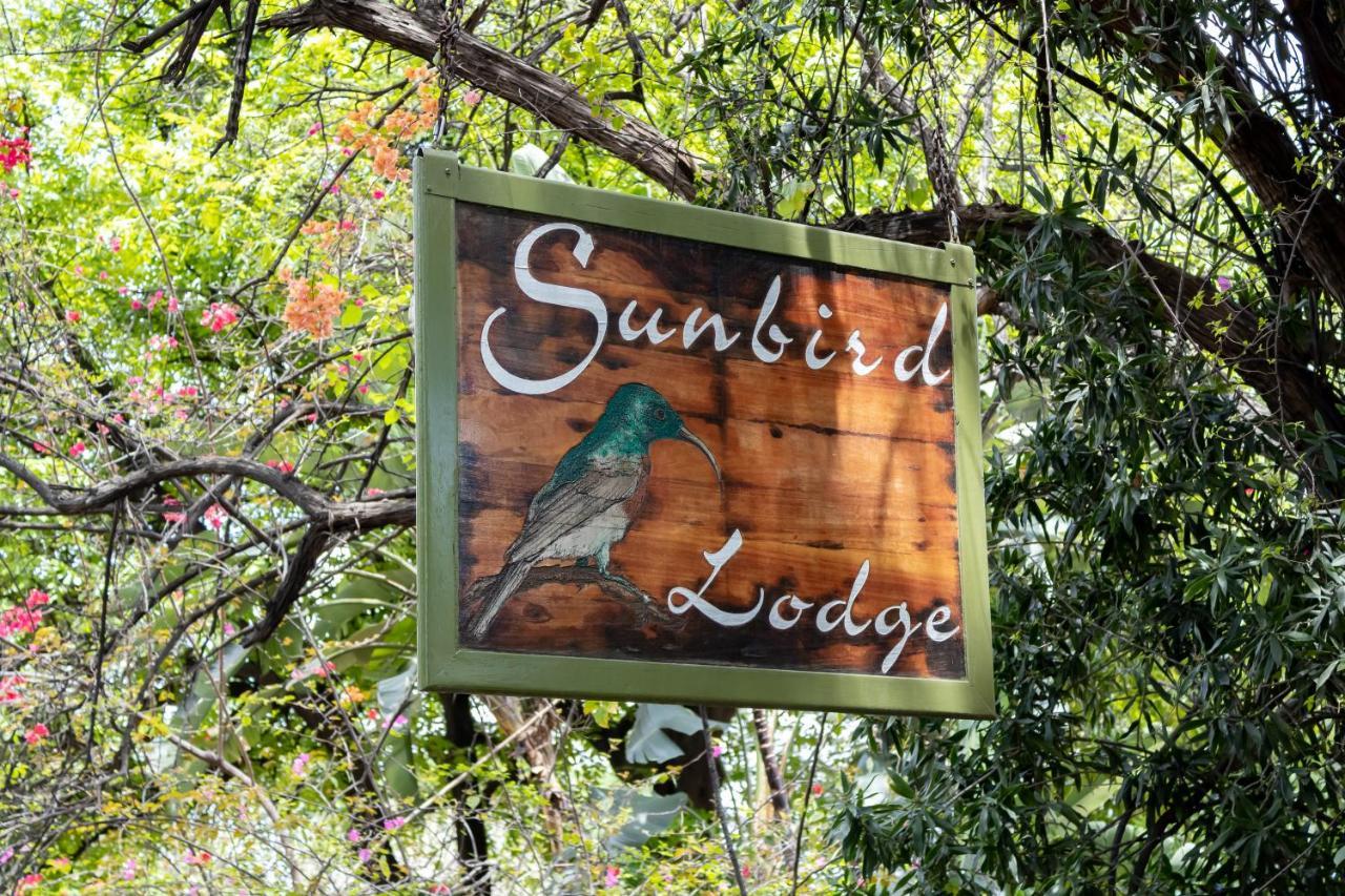 פאלאבורווה Sunbird Lodge מראה חיצוני תמונה