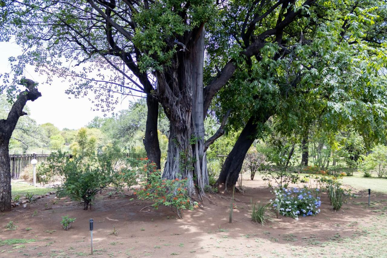 פאלאבורווה Sunbird Lodge מראה חיצוני תמונה