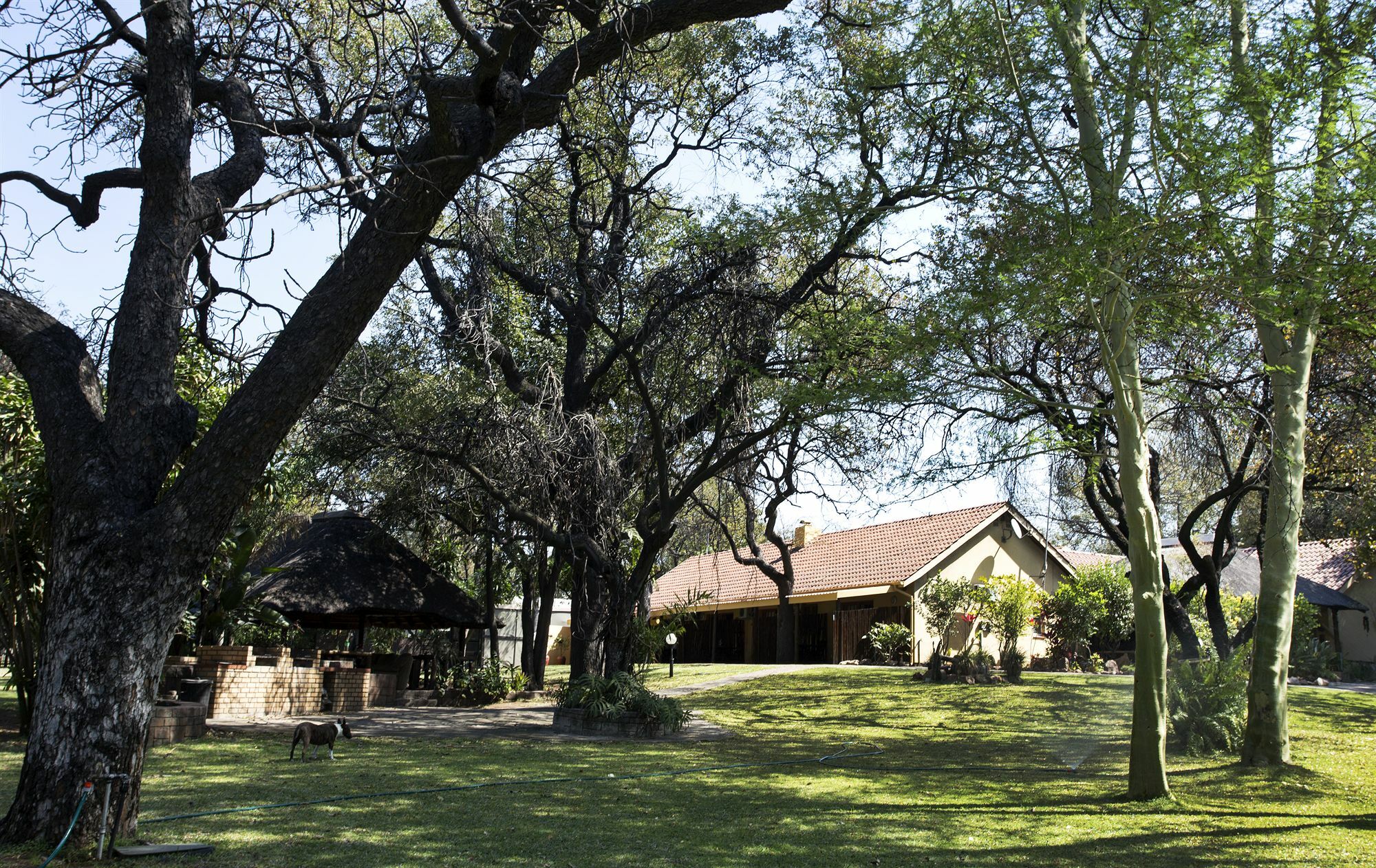 פאלאבורווה Sunbird Lodge מראה חיצוני תמונה